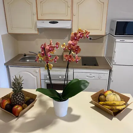 Santa Giulia - Le Village De L'hacienda * Porto-Vecchio (Corsica)